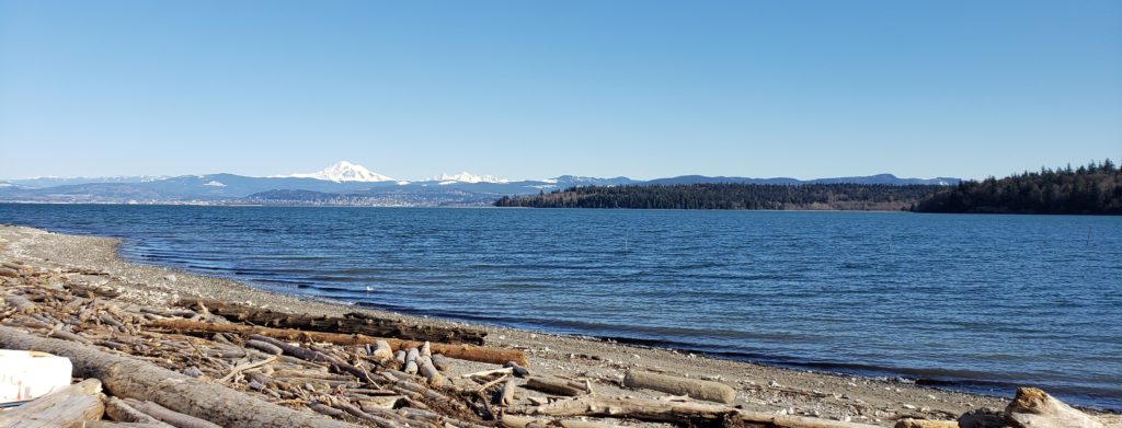 Beautiful views from Lummi Shore Road